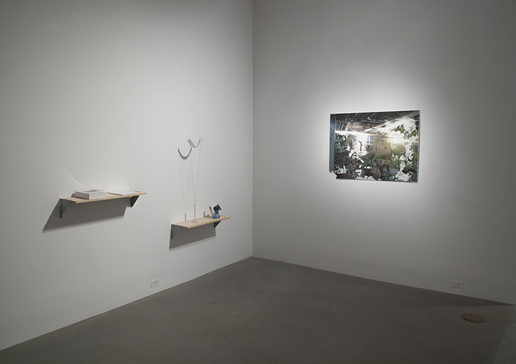 average_sweethearts_dueling_scar_and_driving_accident