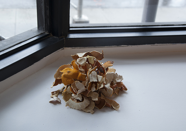 average_sweethearts_dueling_scar_and_driving_accident