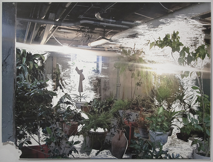 average_sweethearts_dueling_scar_and_driving_accident