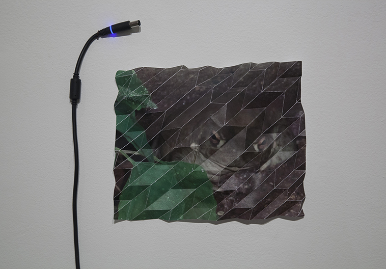 average_sweethearts_dueling_scar_and_driving_accident