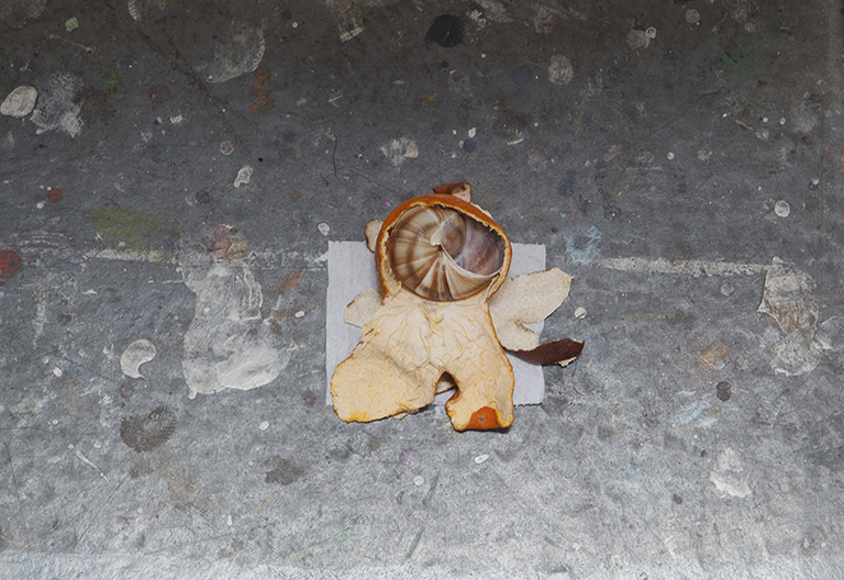 how_do_you_define_object_i_do_it_with_honey