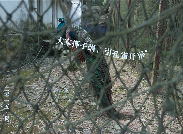 poems_in_the_mount_lu_zoo