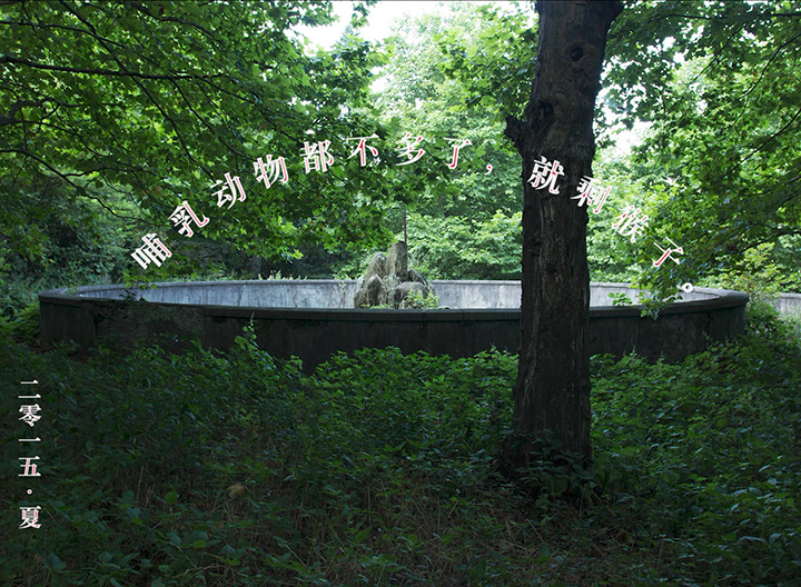 poems_in_the_mount_lu_zoo