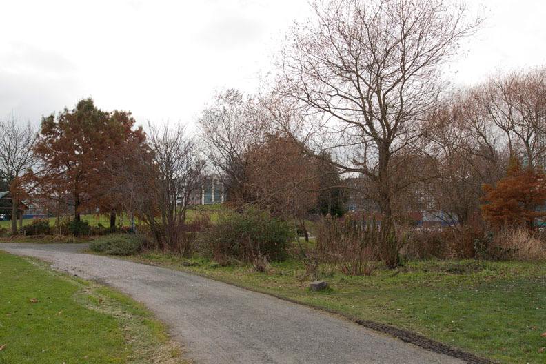 three_sentences_seeing_a_stone