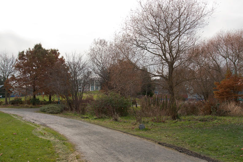 three_sentences_seeing_a_stone